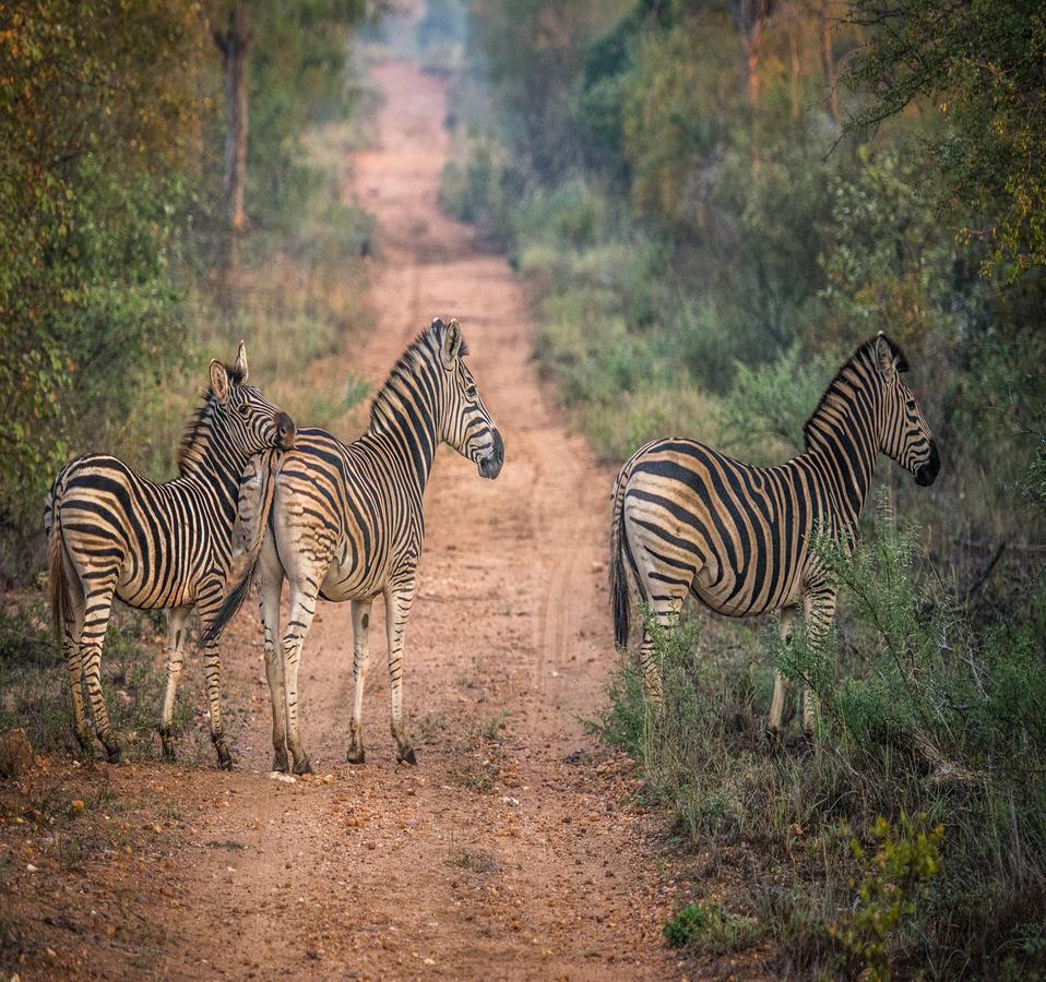 Makalali Game ReserveGaronga Safari别墅 外观 照片