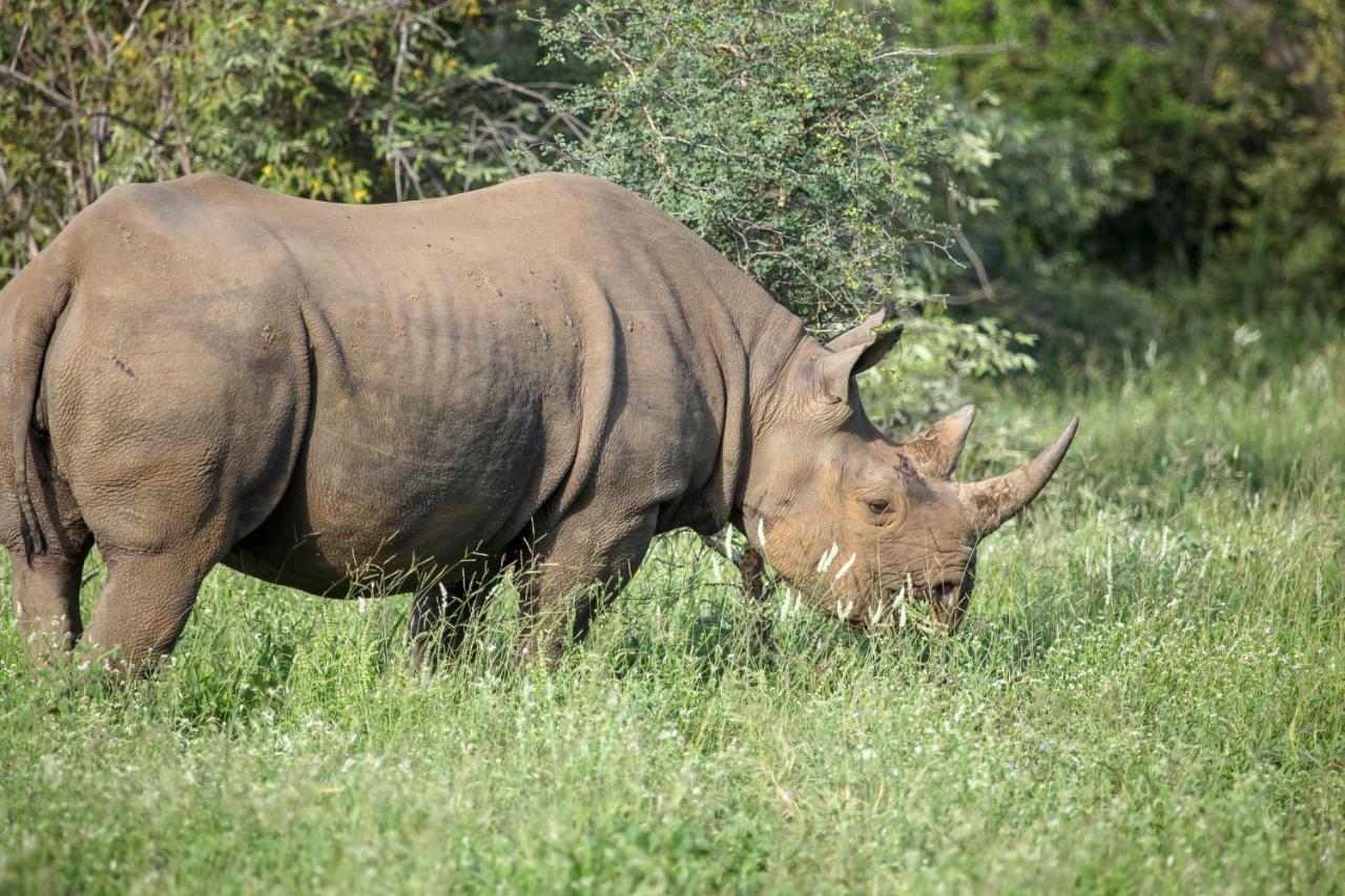Makalali Game ReserveGaronga Safari别墅 外观 照片